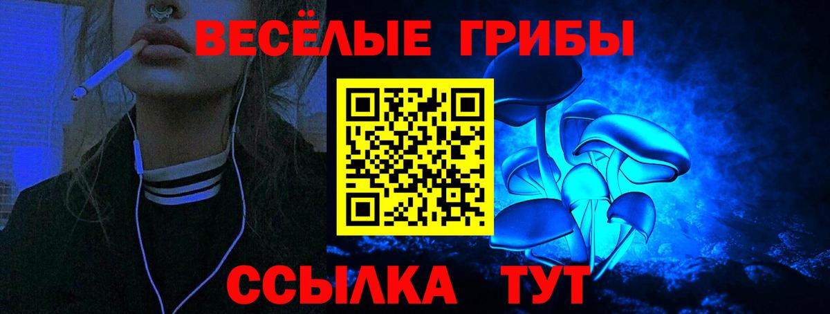 Ногинск  Псилоцибиновые грибы прущие грибы  где найти   Вход с VPN 